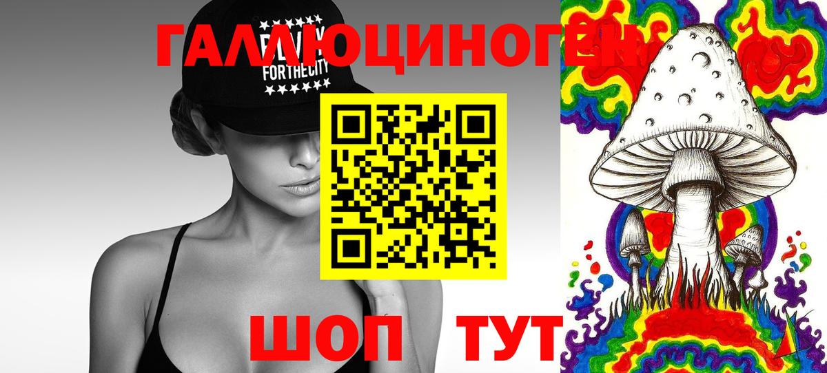 Галлюциногенные грибы мицелий Тара