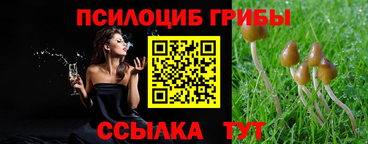 Галлюциногенные грибы Cubensis  Вход с VPN  Псилоцибиновые грибы Magic Shrooms  Тара 